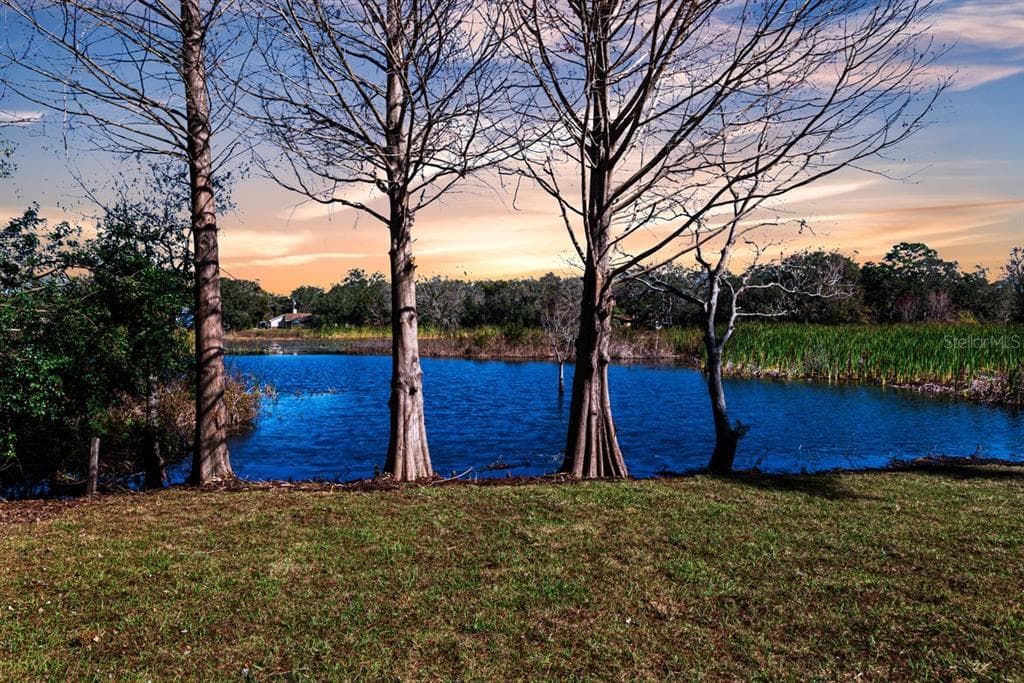 11416 PINE FOREST DRIVE, NEW PORT RICHEY, FL 34654 — zdjęcie 2