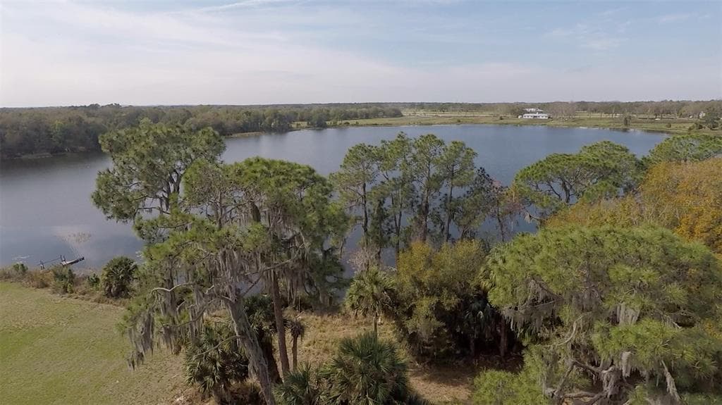 3412 LAKE DIANE ROAD, TAVARES, FL 32778 — zdjęcie 4