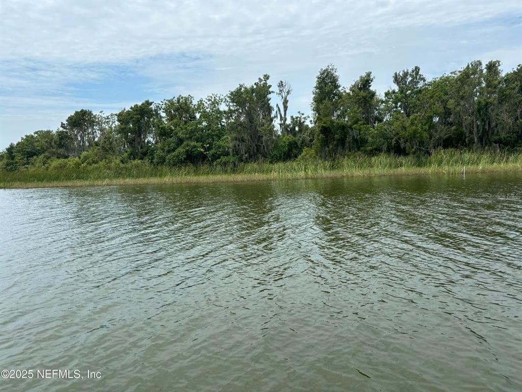 6001 BIRD ISLAND DRIVE, LADY LAKE, FL 32159 — zdjęcie 2