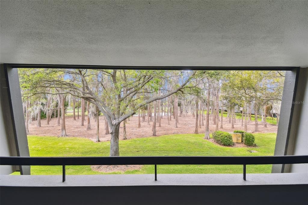 36750 US 19 N # 06211, PALM HARBOR, FL 34684 — zdjęcie 2