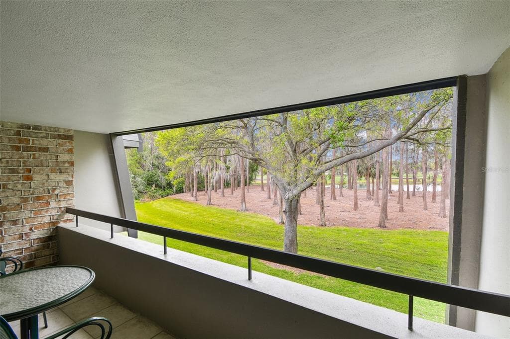 36750 US 19 N # 06211, PALM HARBOR, FL 34684 — zdjęcie 3