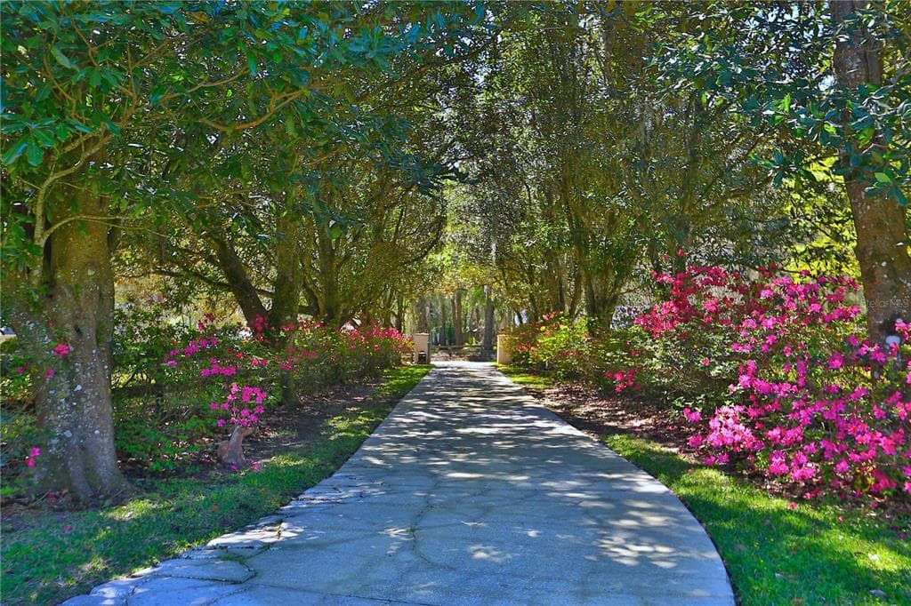 2881 SE 41ST PLACE, OCALA, FL 34480 — zdjęcie 2