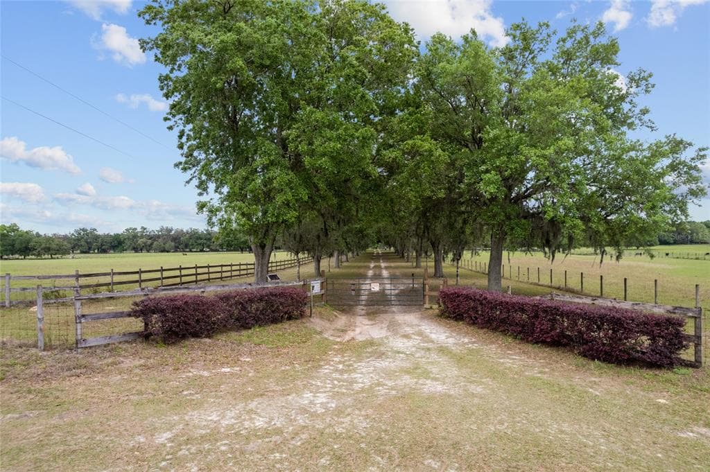3149 SW 200TH AVENUE, DUNNELLON, FL 34431 — zdjęcie 5