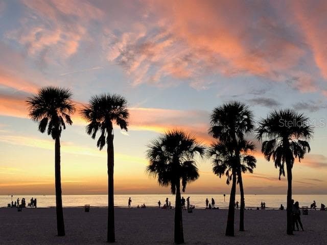 833 LANTANA AVENUE, CLEARWATER BEACH, FL 33767 — zdjęcie 3