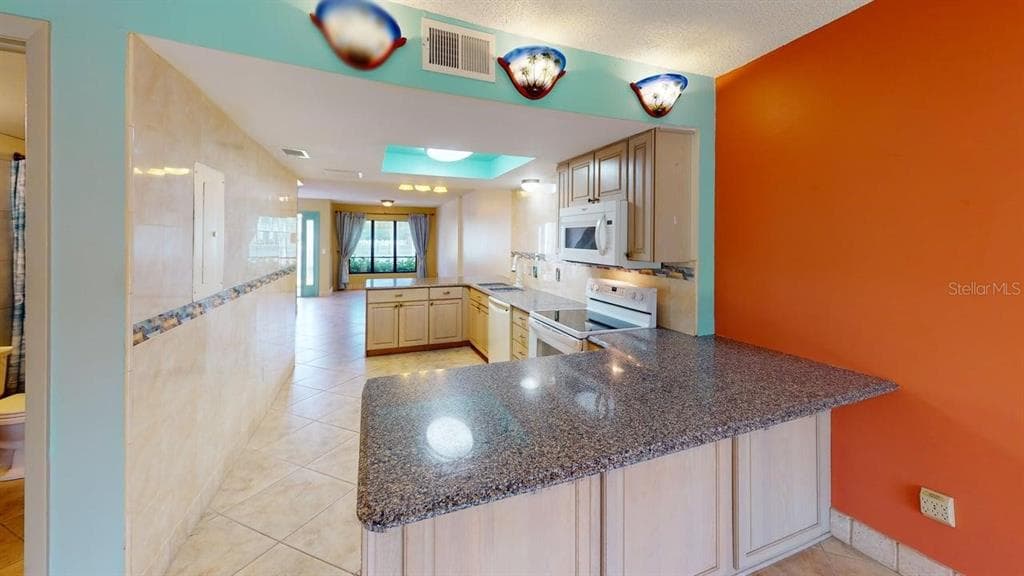 1849 ABRICO DRIVE # K9, LUTZ, FL 33558 — zdjęcie 3