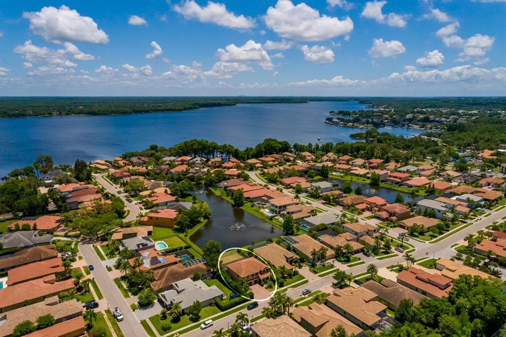 4611 GRAND PRESERVE PLACE, PALM HARBOR, FL 34684 — zdjęcie 3