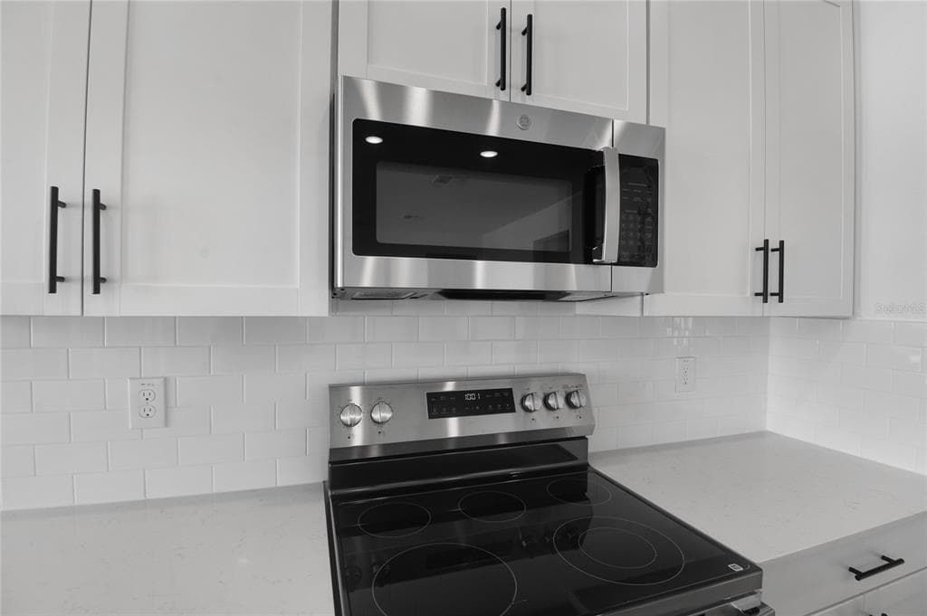 159 WATERSTONE LOOP, TAVARES, FL 32778 — zdjęcie 5