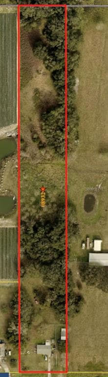 4316 E KNIGHTS GRIFFIN ROAD, PLANT CITY, FL 33565 — zdjęcie 5
