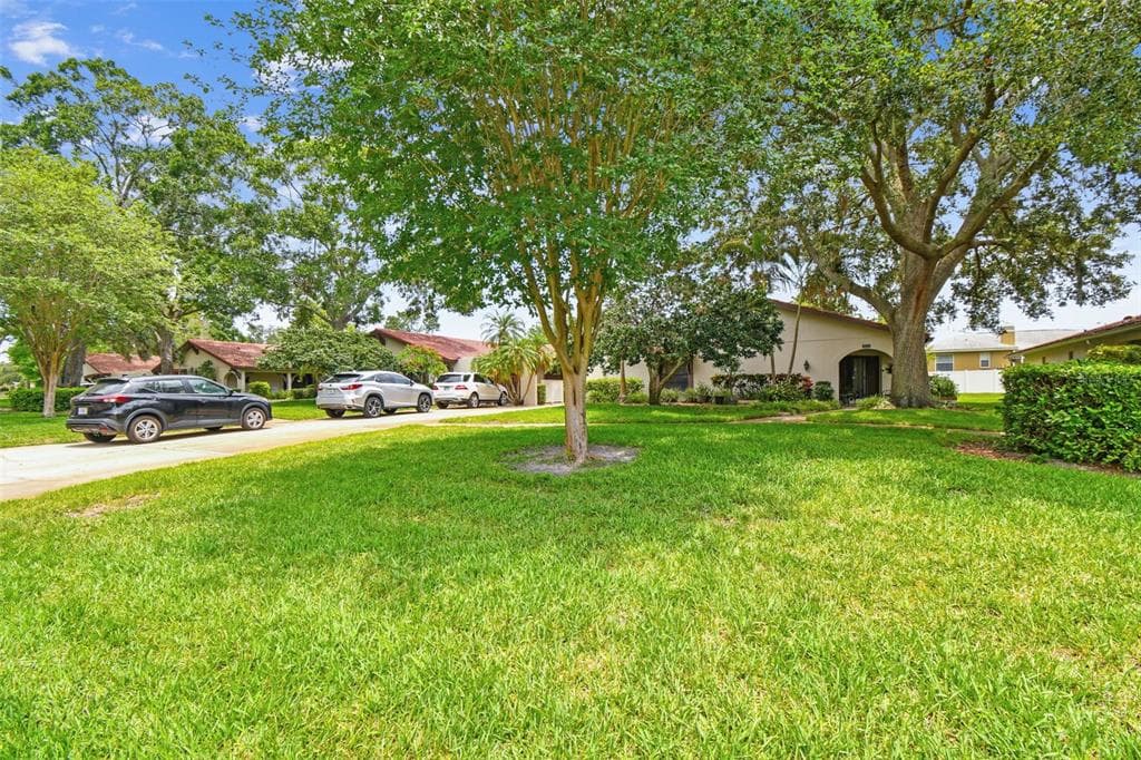 3476 TARPON WOODS BOULEVARD, PALM HARBOR, FL 34685 — zdjęcie 2