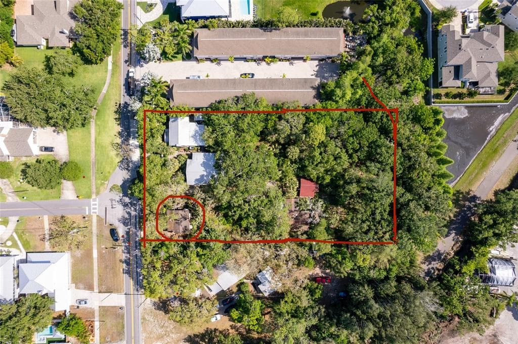 260 ORANGE STREET, PALM HARBOR, FL 34683 — zdjęcie 2