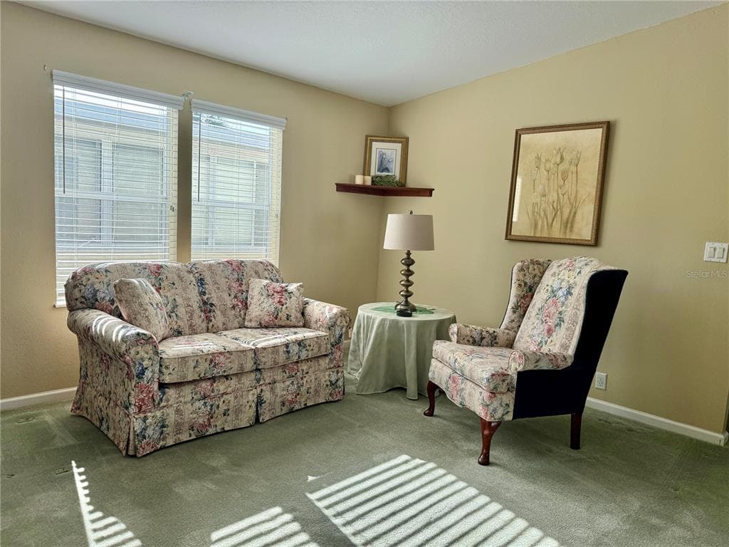 250 S PORT ROYAL LANE, APOLLO BEACH, FL 33572 — zdjęcie 3