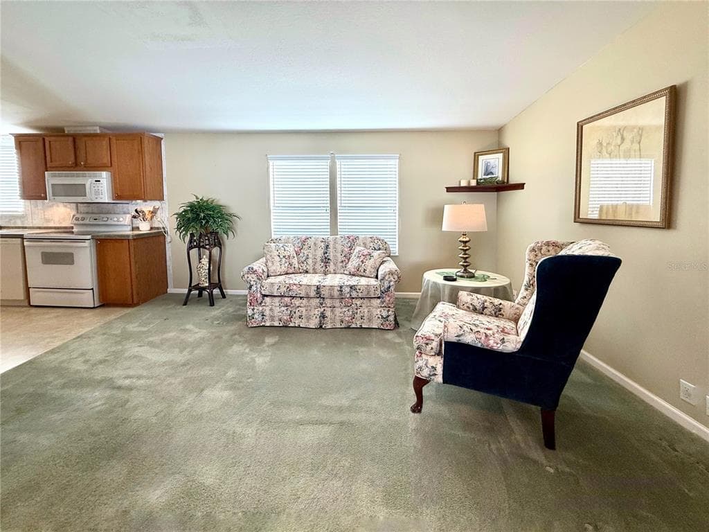 250 S PORT ROYAL LANE, APOLLO BEACH, FL 33572 — zdjęcie 4