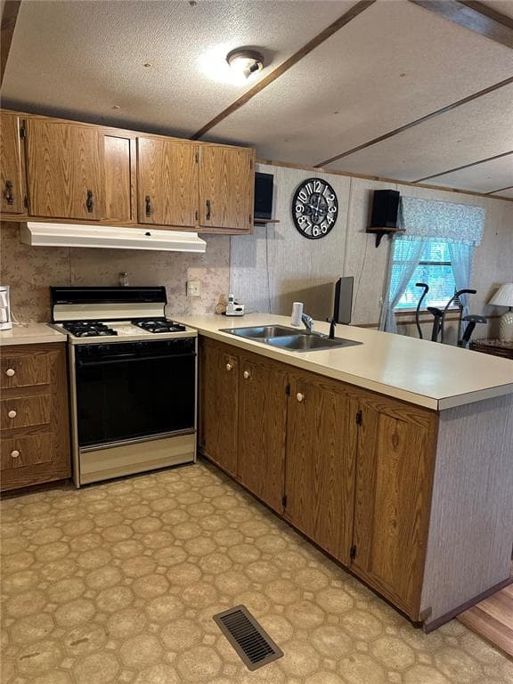 13059 NE 44TH LANE, SILVER SPRINGS, FL 34488 — zdjęcie 3