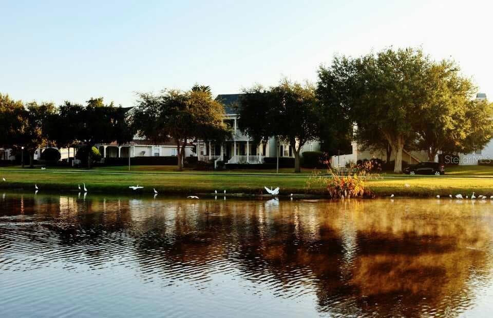 934 WESTPARK DRIVE, CELEBRATION, FL 34747 — zdjęcie 2