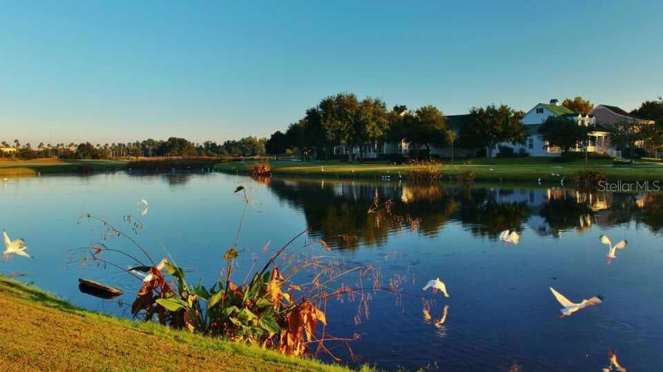 934 WESTPARK DRIVE, CELEBRATION, FL 34747 — zdjęcie 4