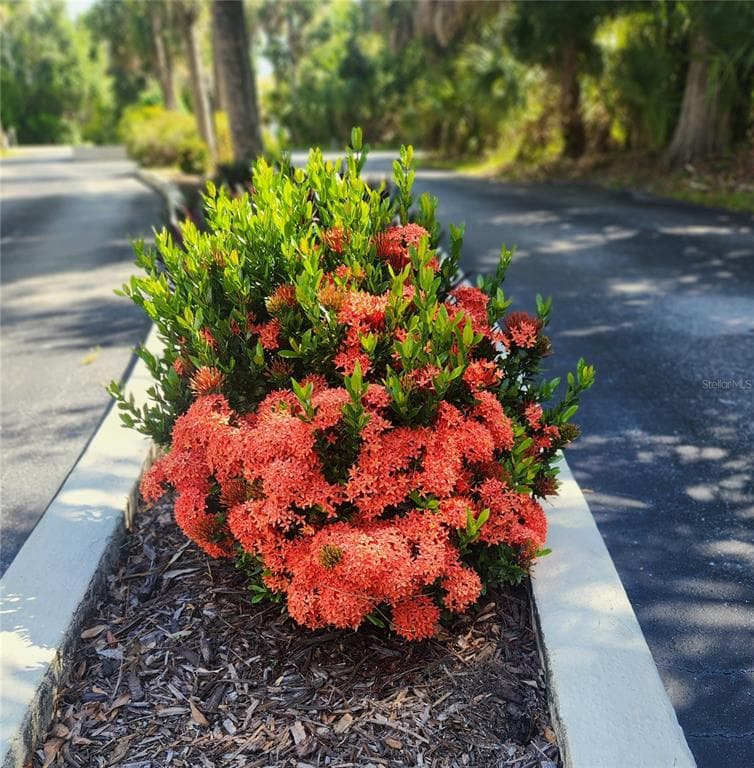 22481 WESTCHESTER BOULEVARD # A19, PUNTA GORDA, FL 33980 — zdjęcie 4