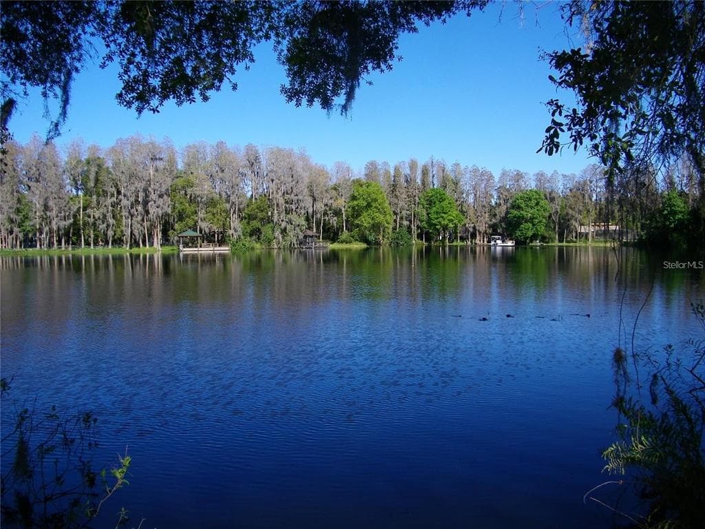 17017 PAULA LANE, LUTZ, FL 33558 — zdjęcie 2