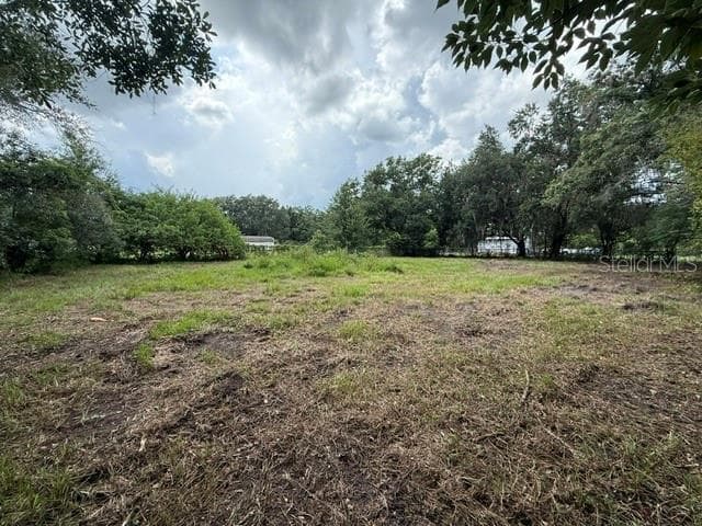3011 S WIGGINS ROAD, PLANT CITY, FL 33566 — zdjęcie 4