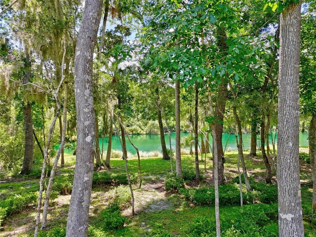 23 CREEKSIDE DRIVE, PALM COAST, FL 32137 — zdjęcie 5