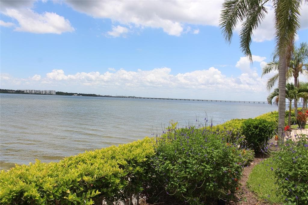 19029 US HIGHWAY 19 N # 16C, CLEARWATER, FL 33764 — zdjęcie 5