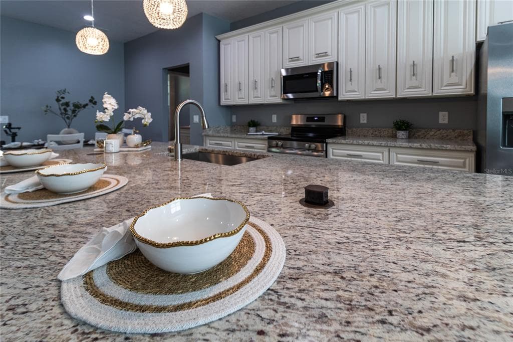 41550 ROYAL TRAILS ROAD, EUSTIS, FL 32736 — zdjęcie 3
