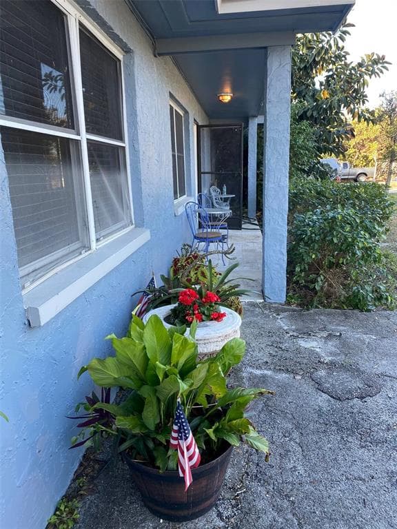 508 ULELAH AVENUE, PALM HARBOR, FL 34683 — zdjęcie 2