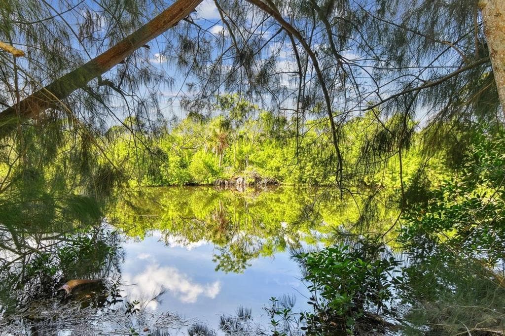 5909 MOHR ROAD, TAMPA, FL 33615 — zdjęcie 3