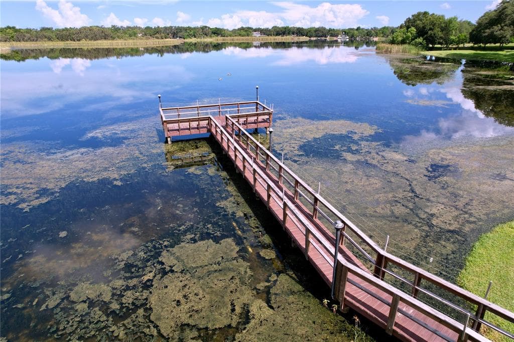 2020 LAKEVIEW DRIVE # 203, CLEARWATER, FL 33763 — zdjęcie 3