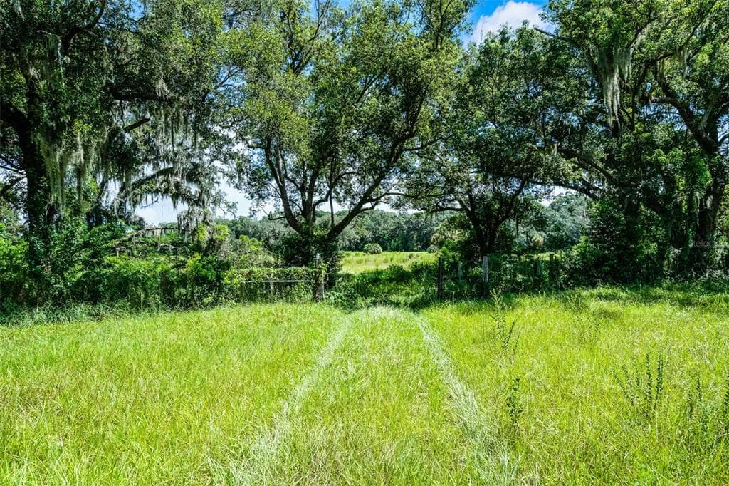 7466 VIVIAN LANE, ORLANDO, FL 32818 — zdjęcie 2