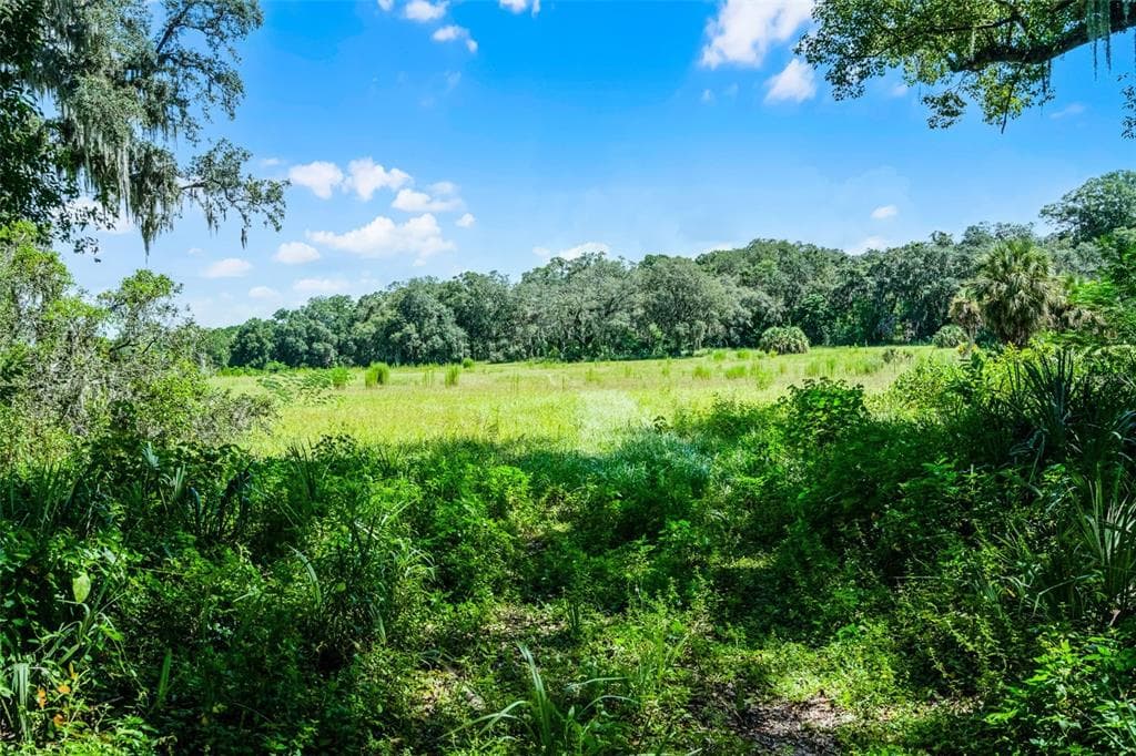 7466 VIVIAN LANE, ORLANDO, FL 32818 — zdjęcie 3