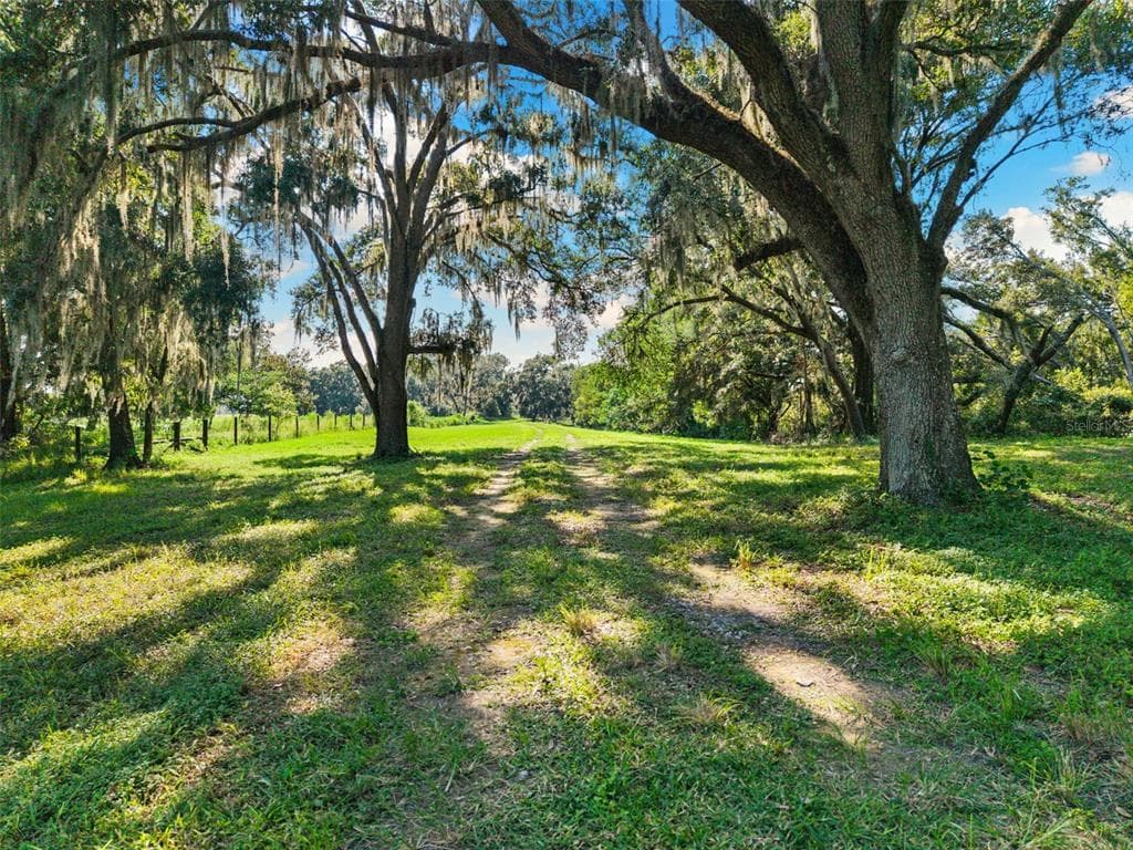 14765 US HIGHWAY 41, SPRING HILL, FL 34610 — zdjęcie 2