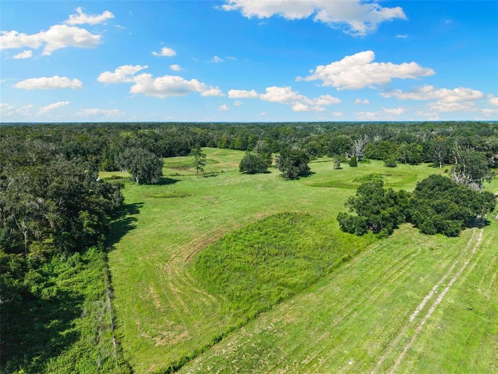 14765 US HIGHWAY 41, SPRING HILL, FL 34610 — zdjęcie 4