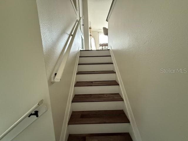 8546 GREAT EGRET TRACE, NEW PORT RICHEY, FL 34653 — zdjęcie 4
