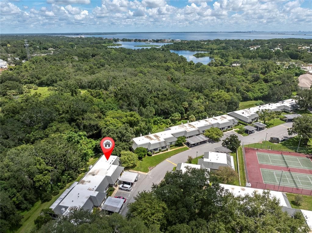 1377 N MCMULLEN BOOTH ROAD, CLEARWATER, FL 33759 — zdjęcie 3