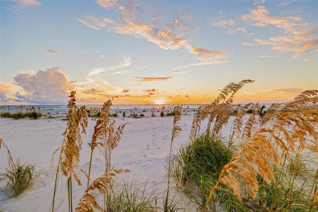 1024 ELDORADO AVENUE, CLEARWATER BEACH, FL 33767 — zdjęcie 2