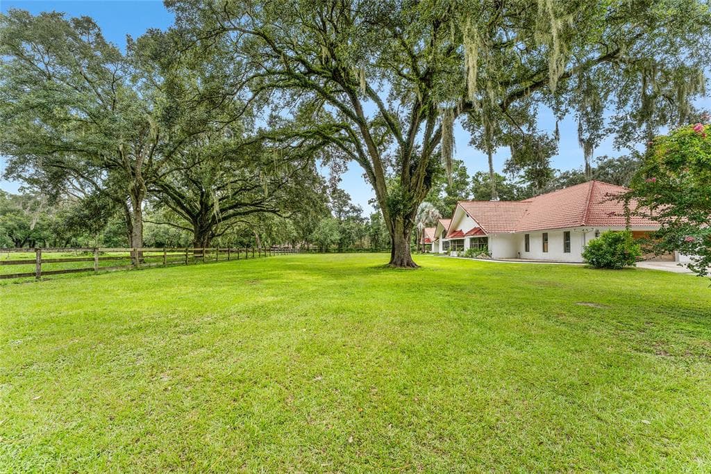 553 NE 205TH AVENUE, WILLISTON, FL 32696 — zdjęcie 2