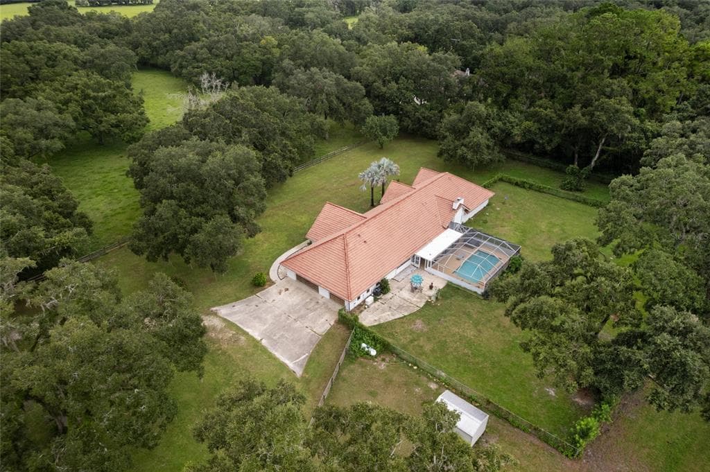 553 NE 205TH AVENUE, WILLISTON, FL 32696 — zdjęcie 4
