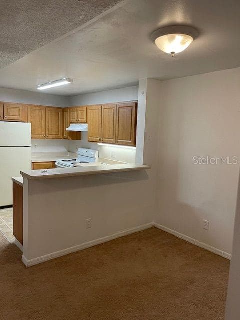 6052 WESTGATE DRIVE # 102, ORLANDO, FL 32835 — zdjęcie 5