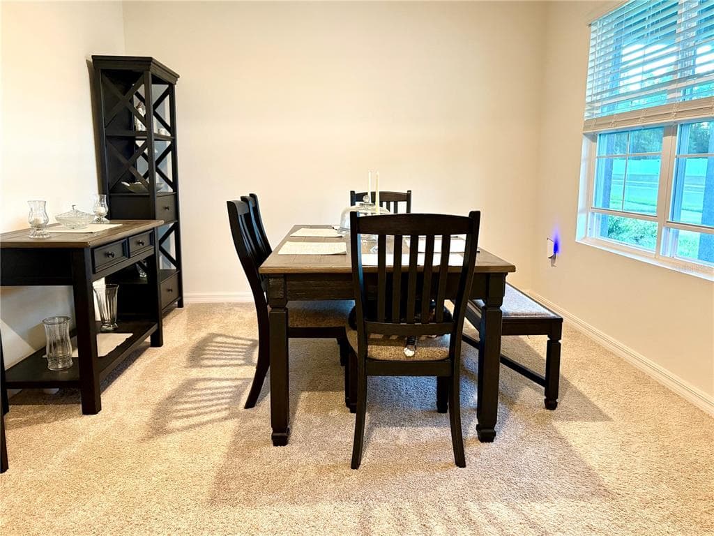 3019 STATEN DRIVE, DELTONA, FL 32738 — zdjęcie 4