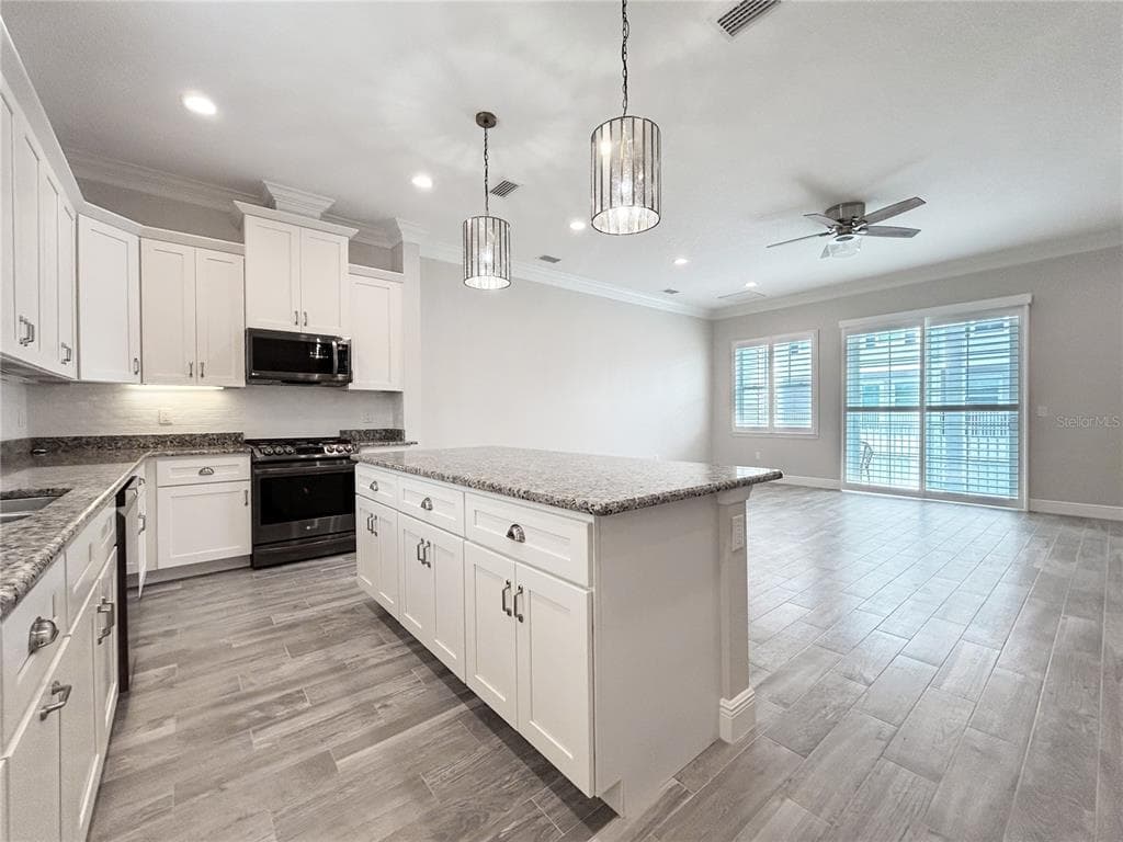 510 DOUGLAS PLACE, DUNEDIN, FL 34698 — zdjęcie 3