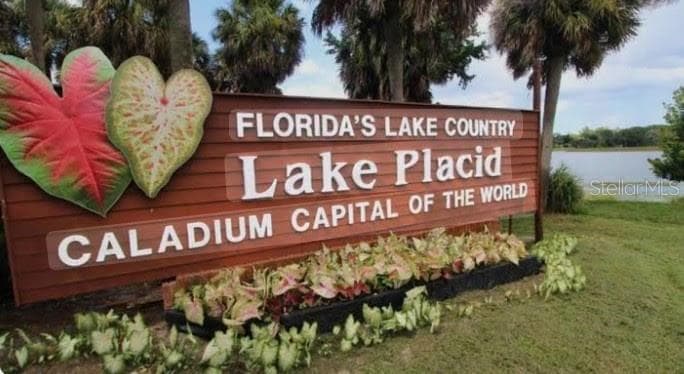 450 KEMPER AVENUE, LAKE PLACID, FL 33852 — zdjęcie 5