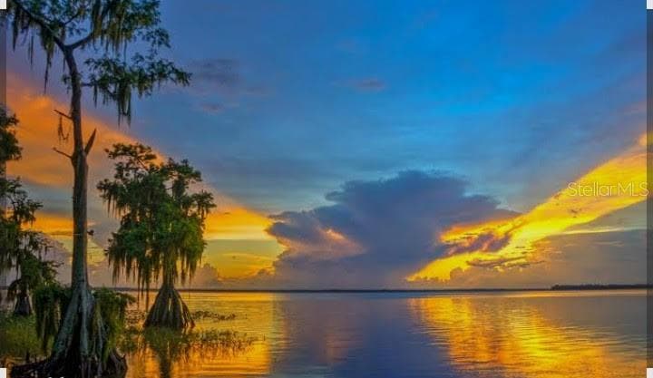 450 KEMPER AVENUE, LAKE PLACID, FL 33852 — zdjęcie 4