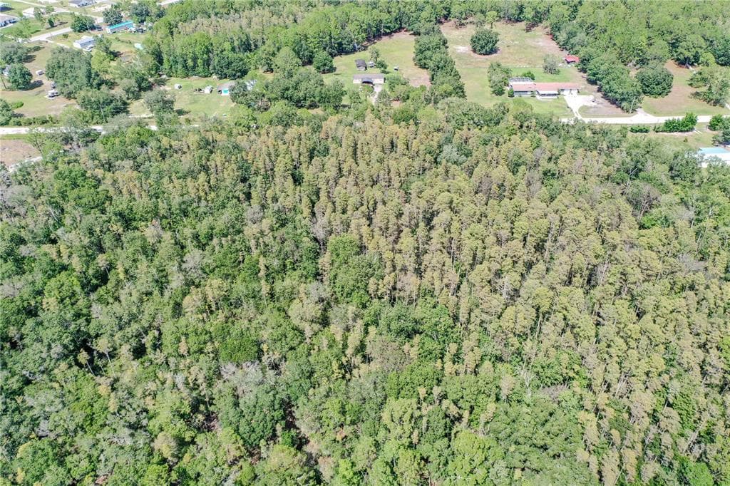 747 MIRANDA TRAIL, LAKELAND, FL 33809 — zdjęcie 3