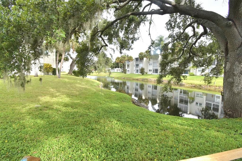 940 VIRGINIA STREET # 108, DUNEDIN, FL 34698 — zdjęcie 4
