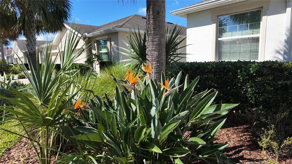 7690 TIMBERVIEW LOOP, WESLEY CHAPEL, FL 33545 — zdjęcie 3