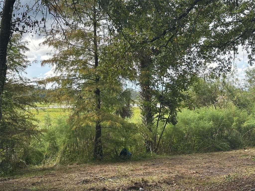 6661 E TURNER CAMP ROAD, INVERNESS, FL 34453 — zdjęcie 2