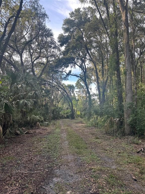 6661 E TURNER CAMP ROAD, INVERNESS, FL 34453 — zdjęcie 3
