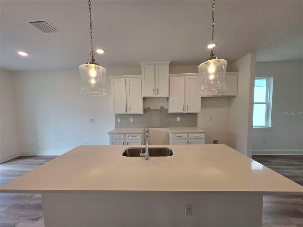 3836 DAYBREAK RUN LOOP, SPRING HILL, FL 34609 — zdjęcie 4