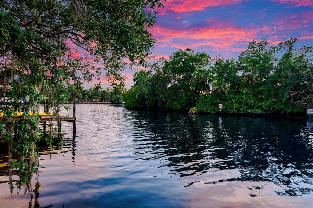 11526 RIVER COUNTRY DRIVE, RIVERVIEW, FL 33569 — zdjęcie 2