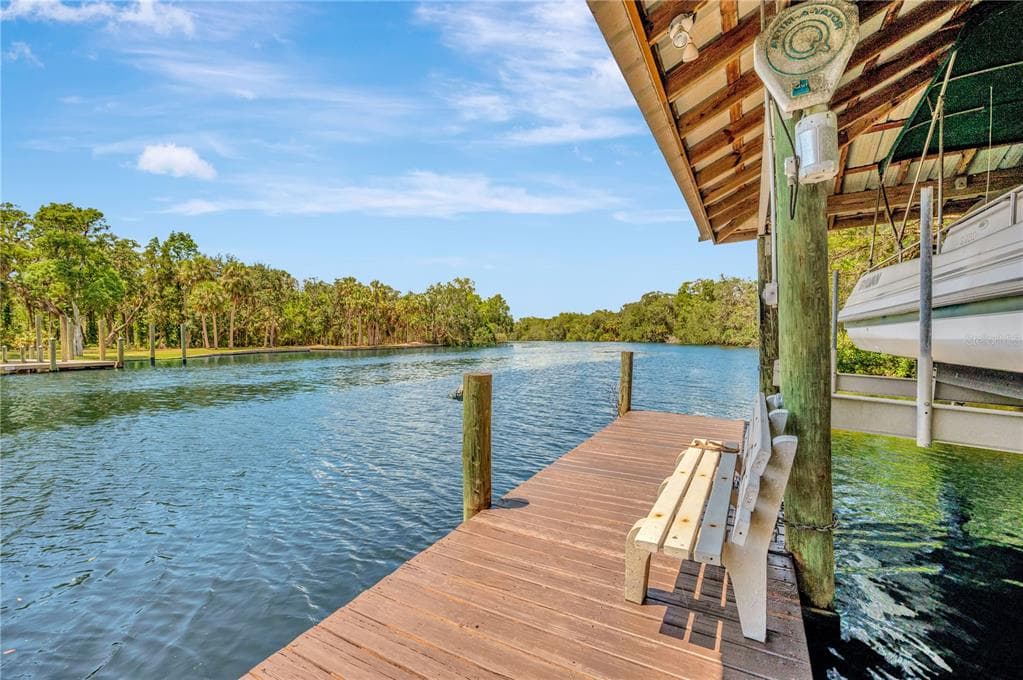 11526 RIVER COUNTRY DRIVE, RIVERVIEW, FL 33569 — zdjęcie 4